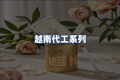 越南代工系列